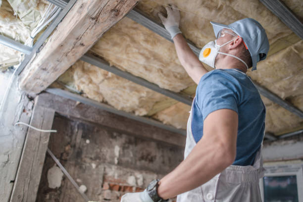 Best Geographic-Specific Insulation Services in Preston Heights, IL